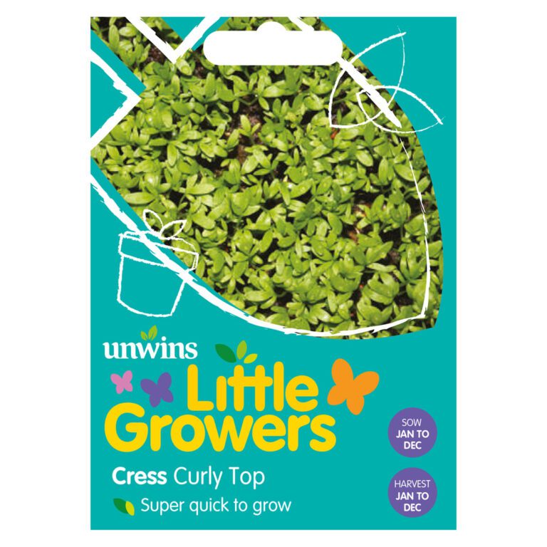 5051618011198 1 Little Growers Cress Curly Top Seeds.jpg